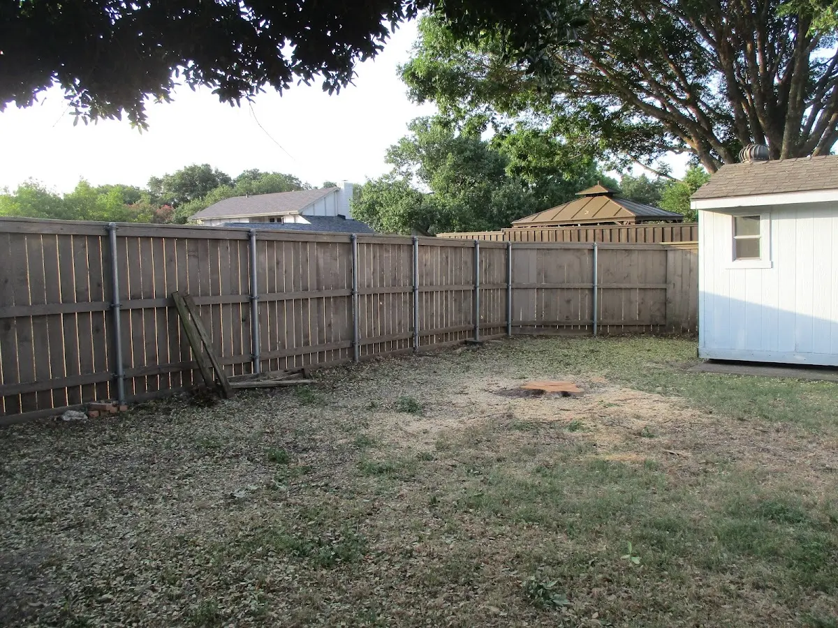 Cleared yard after professional tree removal in Carlisle