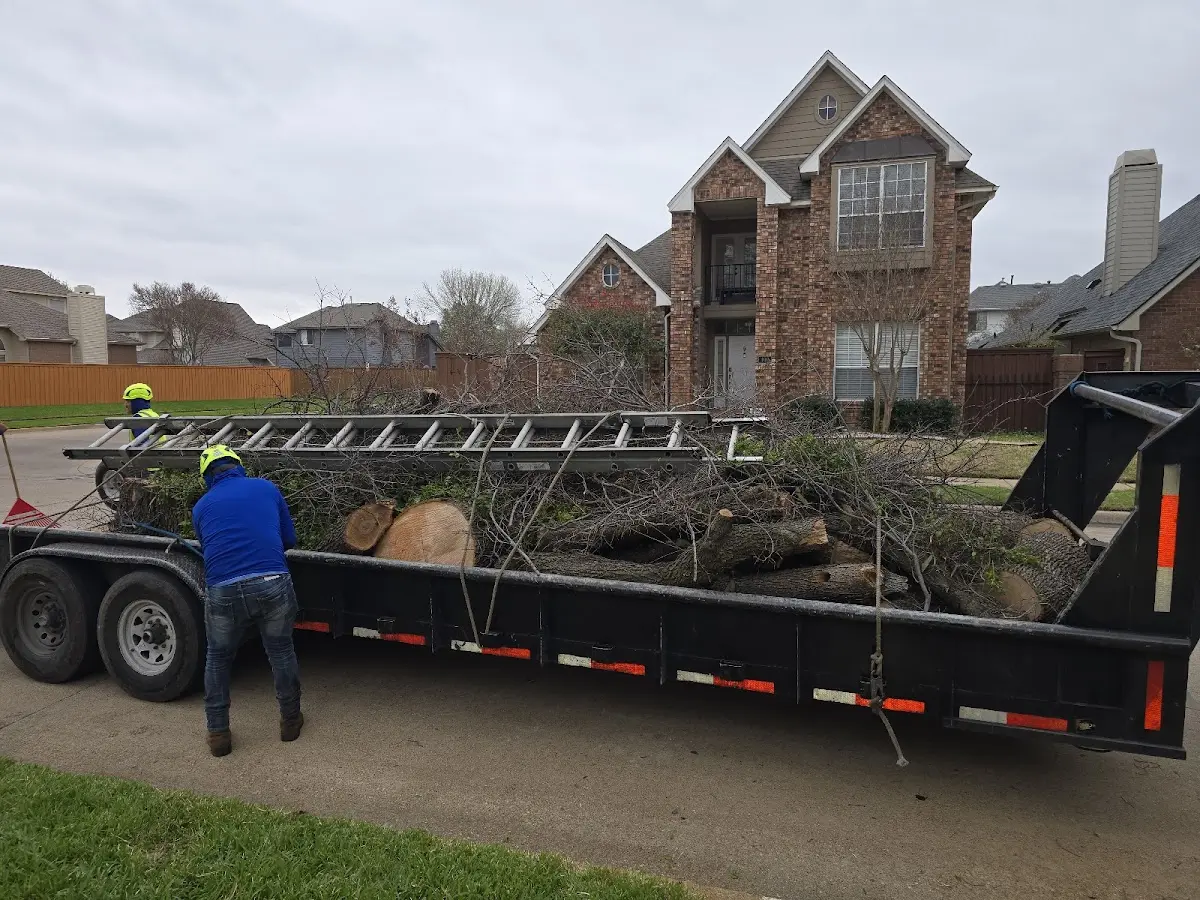 Expert Tree Fertilization with proper safety equipment in Carlisle